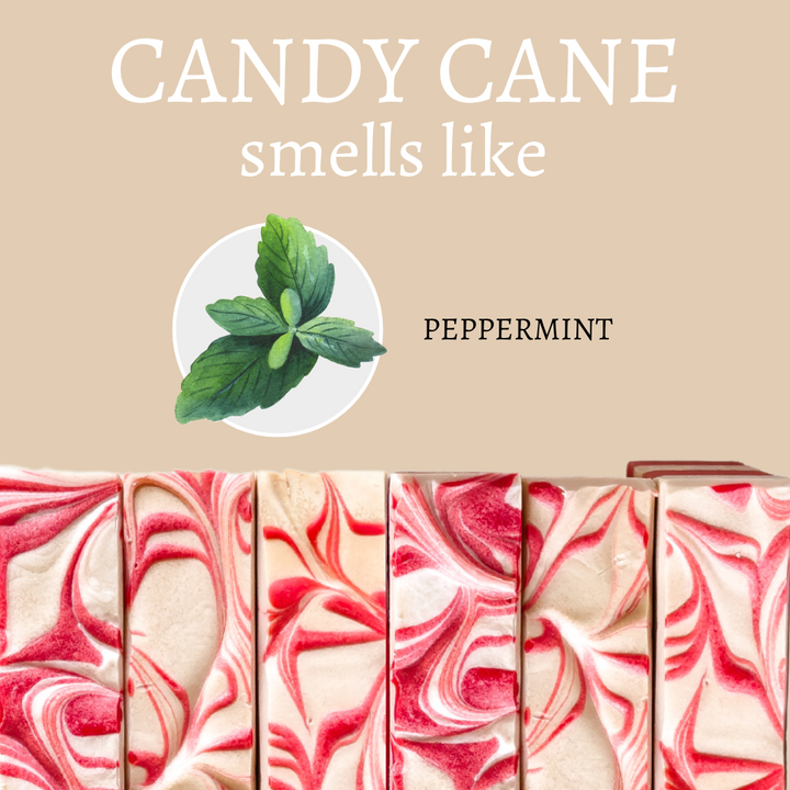 Candy Cane Handmade Soap Bar Scent